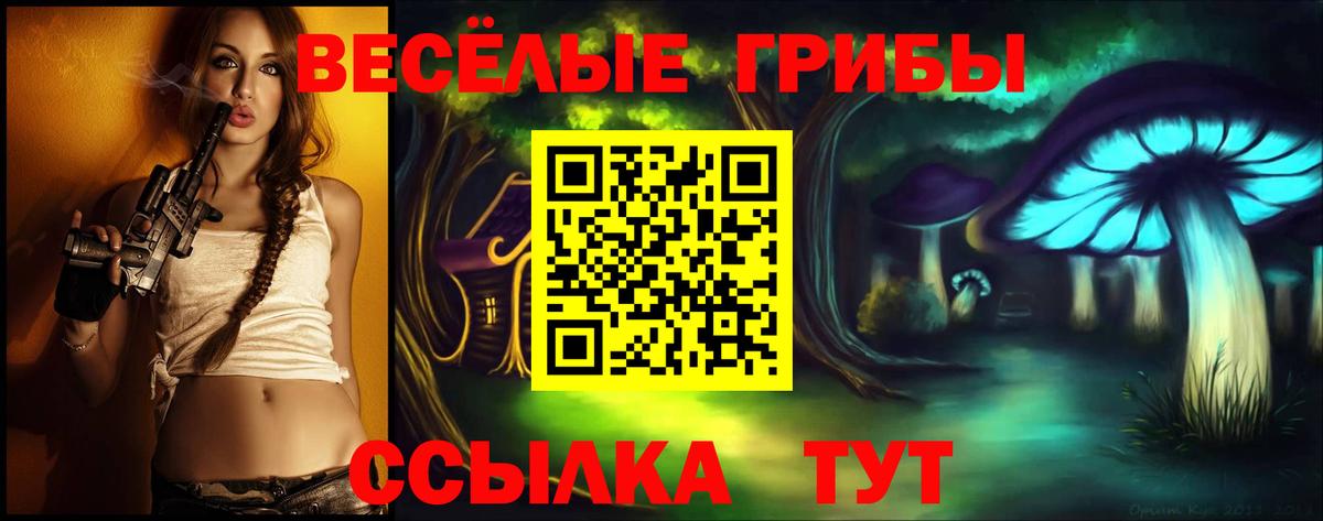 Псилоцибиновые грибы GOLDEN TEACHER  Вход с VPN  Альметьевск 